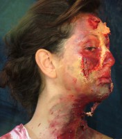 /album/trucco-fantasy-ad-effetti-speciali-/dscf6685-jpg/