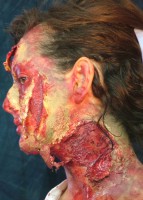 /album/trucco-fantasy-ad-effetti-speciali-/dscf6688-jpg/