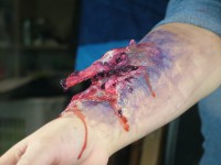 /album/trucco-fantasy-ad-effetti-speciali-/dscf7108-jpg/