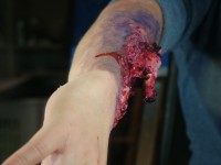 /album/trucco-fantasy-ad-effetti-speciali-/dscf7112-jpg/