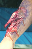 /album/trucco-fantasy-ad-effetti-speciali-/dscf7081-jpg/